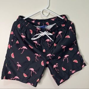 OceanGear Men Swim Trunks